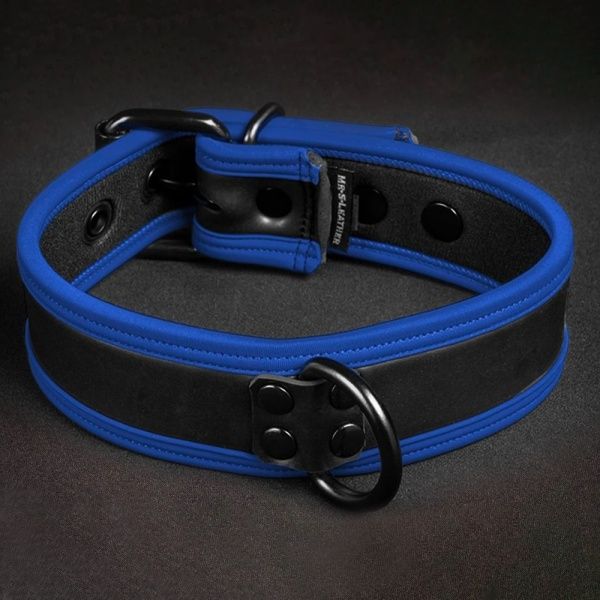 Neo Puppy Collar Negro Azul Mr-S-Leather 35962
